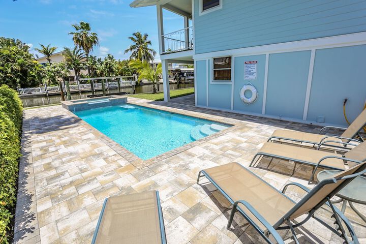 7 Pepita B M - thumb 6