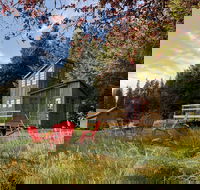 Clydesdale Outpost - Accommodation Seattle