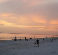 5583 Estero Blvd Iguana Mama's Beach House - Accommodation Seattle