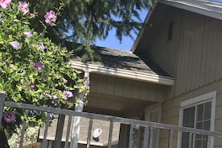 WHOLE Family - WholeVille - thumb 0