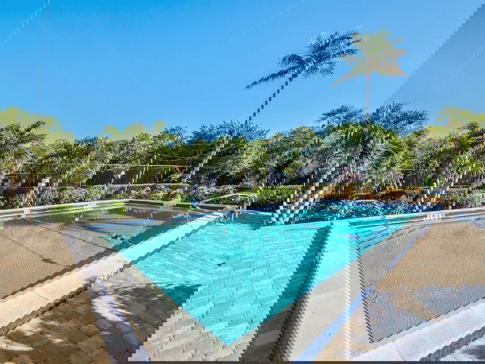 Seas The Day - thumb 5