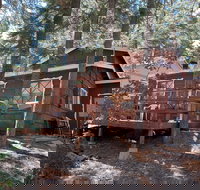 Mosey Inn - Accommodation Seattle