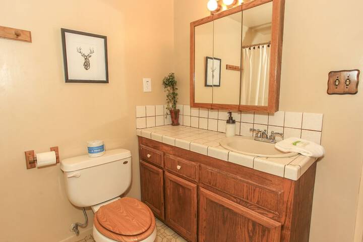 Beary Necessary 1679 By Big Bear Vacations - thumb 5