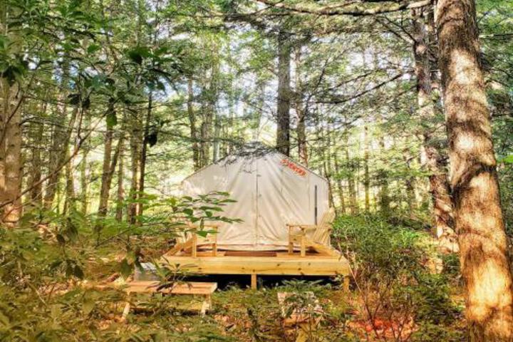 Tentrr Living Water Campsites: Mossy Acres 1 - thumb 0