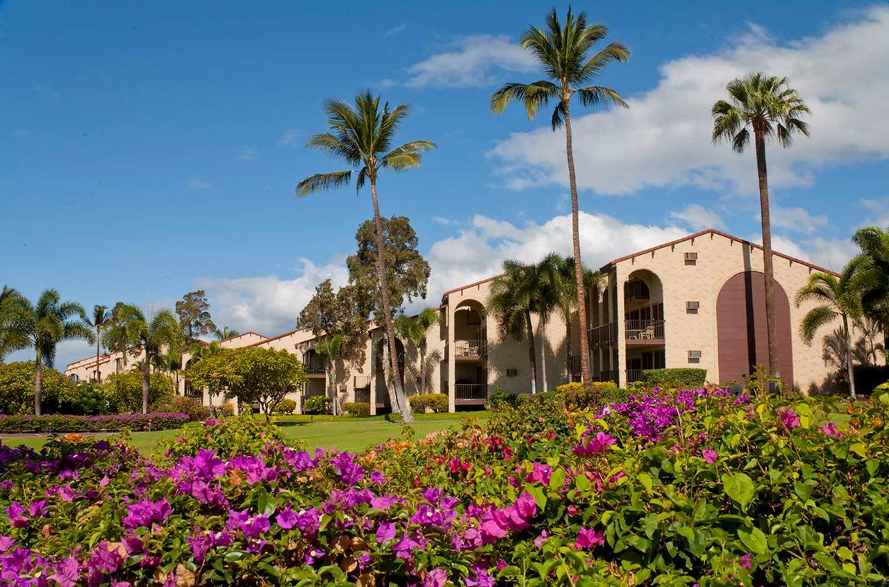 Aston Maui Hill - thumb 21