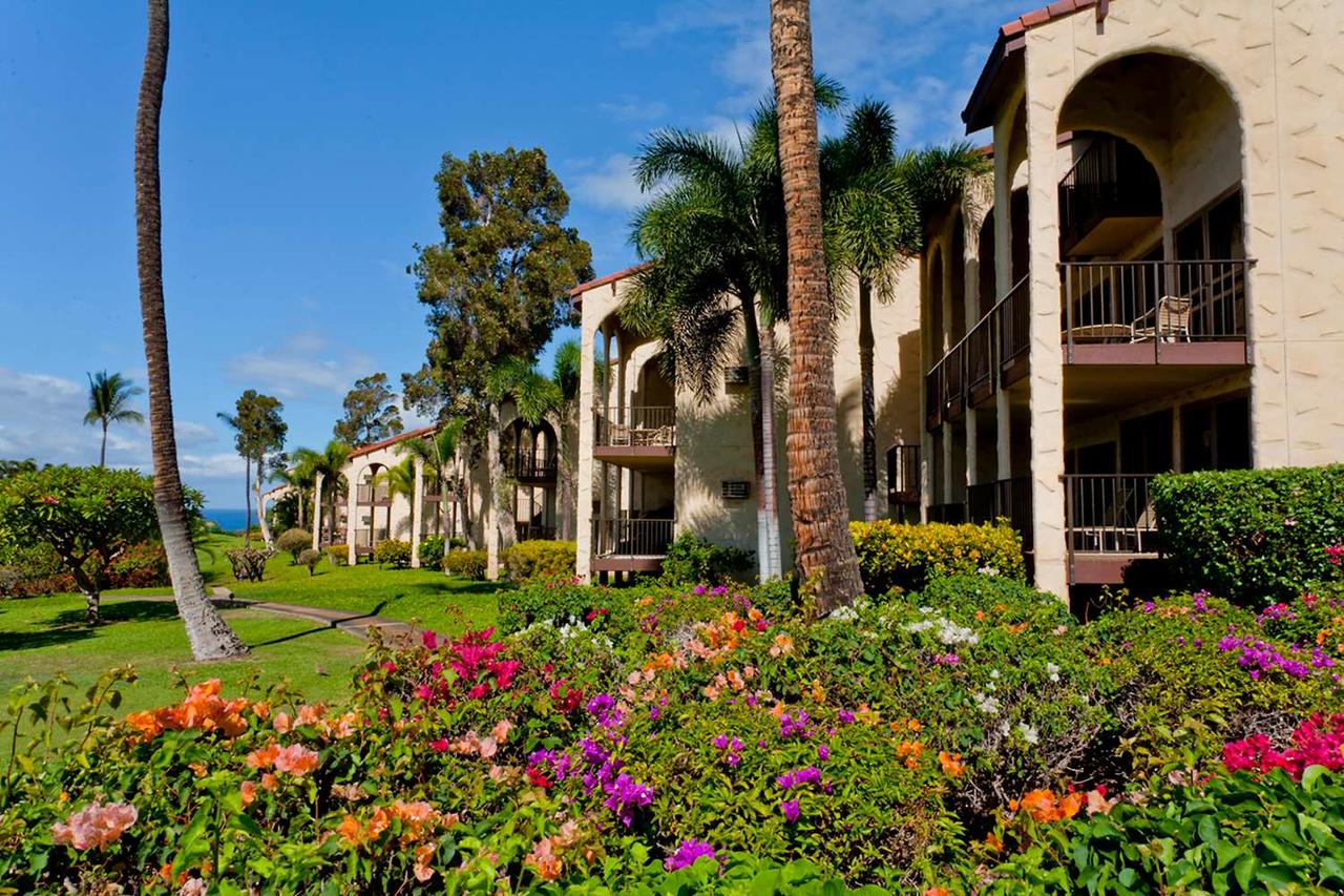 Aston Maui Hill - thumb 31