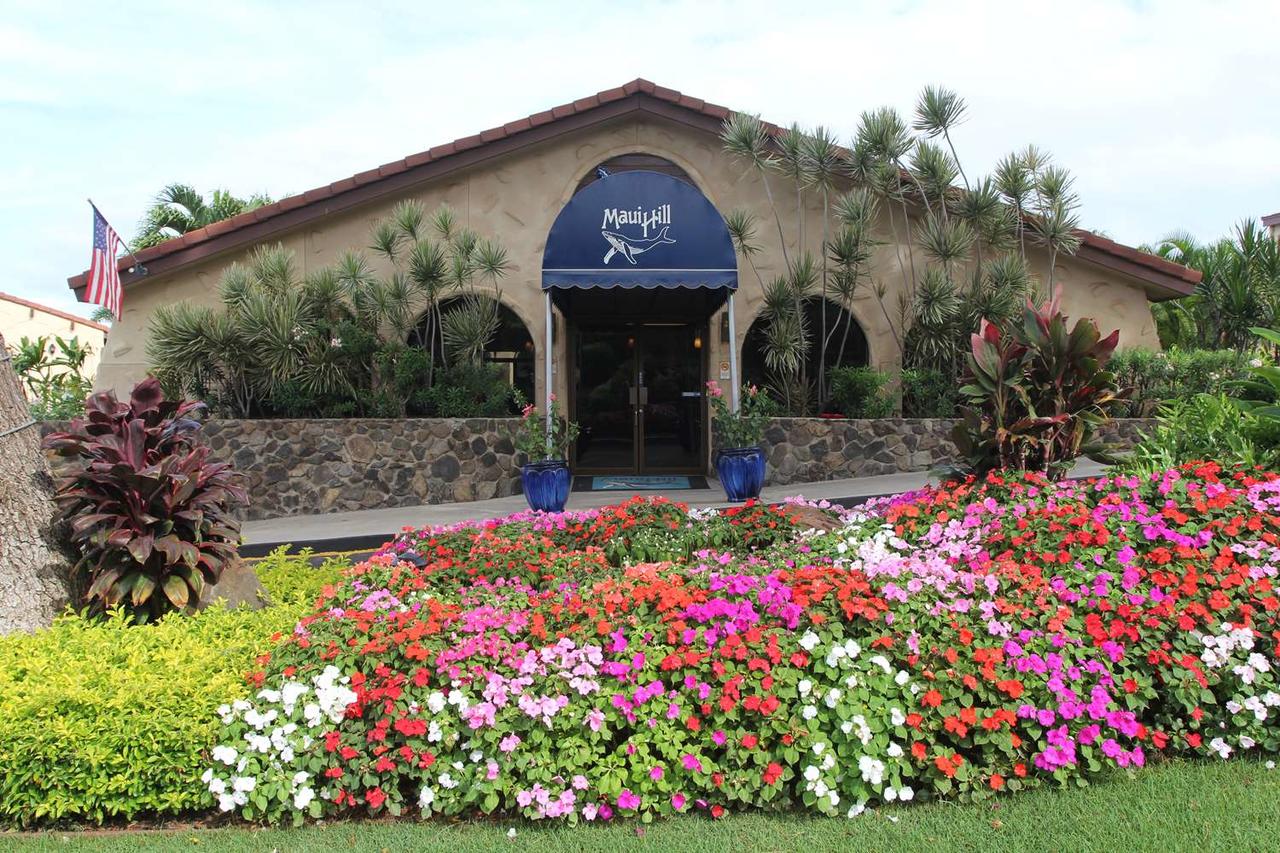 Aston Maui Hill - thumb 9