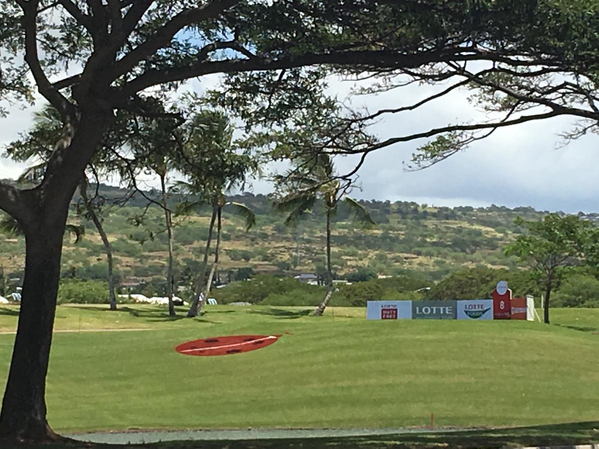 Gorgeous Kolina Condo - thumb 5