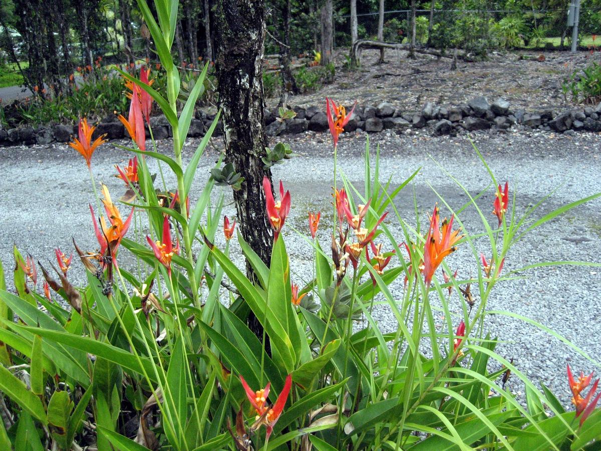 Keaau Place - thumb 22