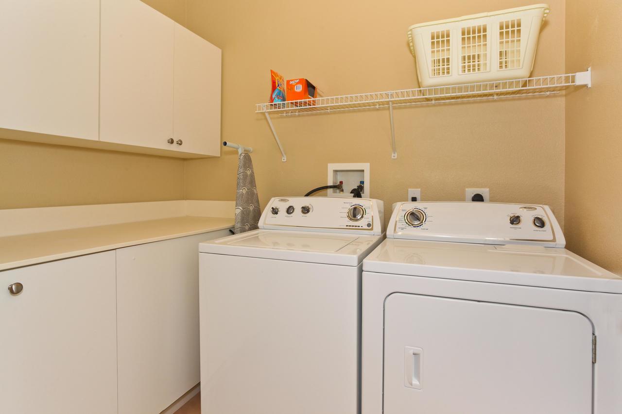 Coconut Plantation 1174-2 - thumb 24