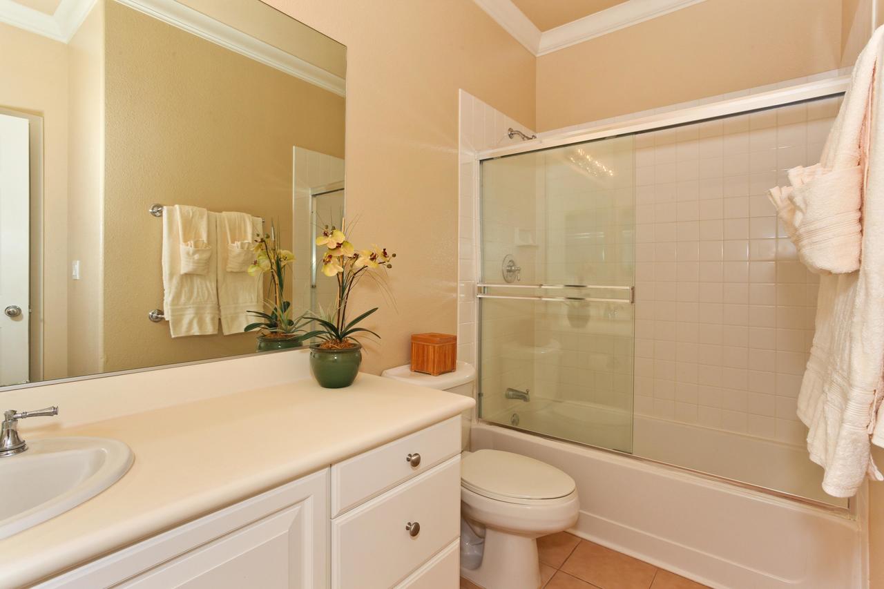 Coconut Plantation 1174-2 - thumb 6