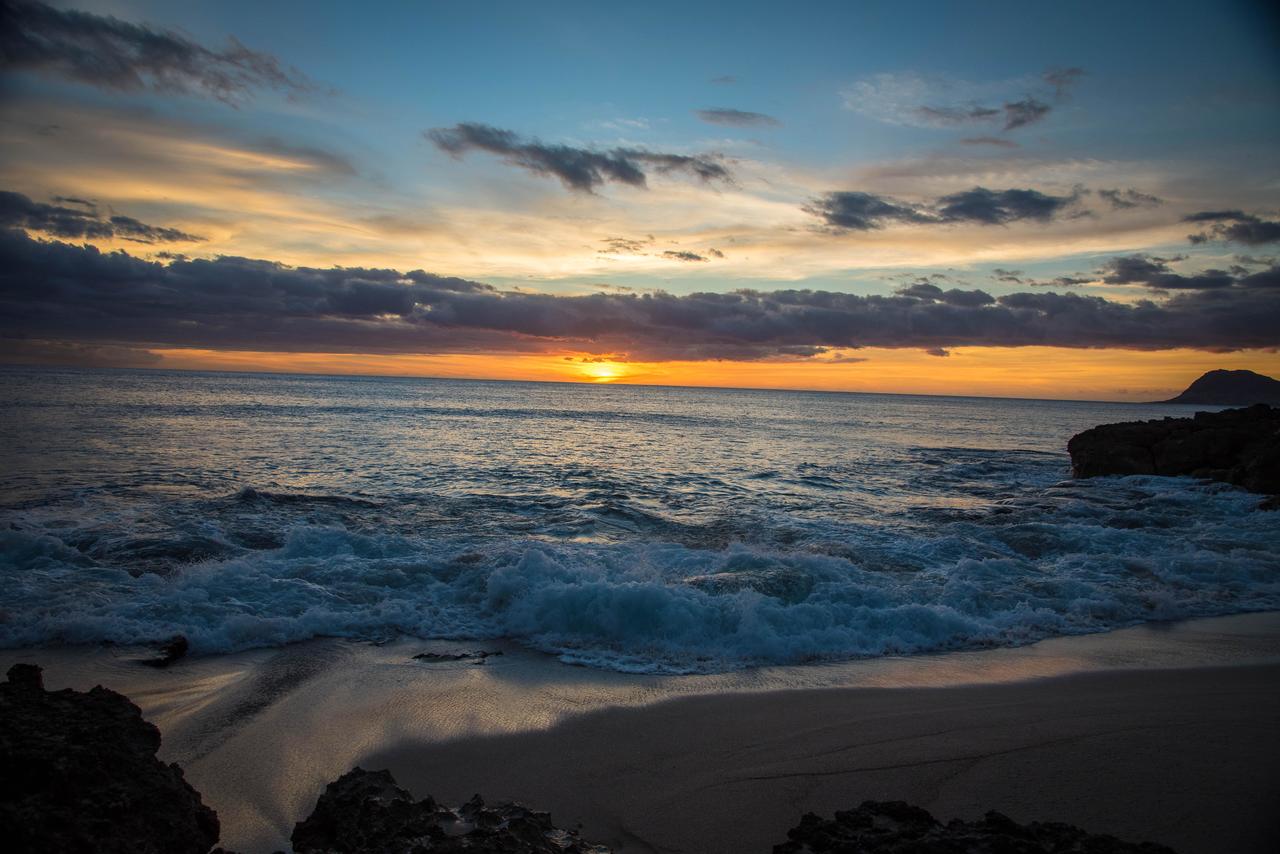 Coconut Plantation 1174-2 - thumb 22