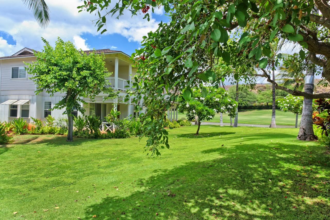 Coconut Plantation 1174-2 - thumb 18