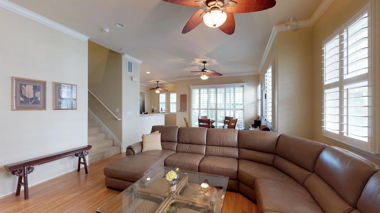 Coconut Plantation 1174-2 - thumb 11