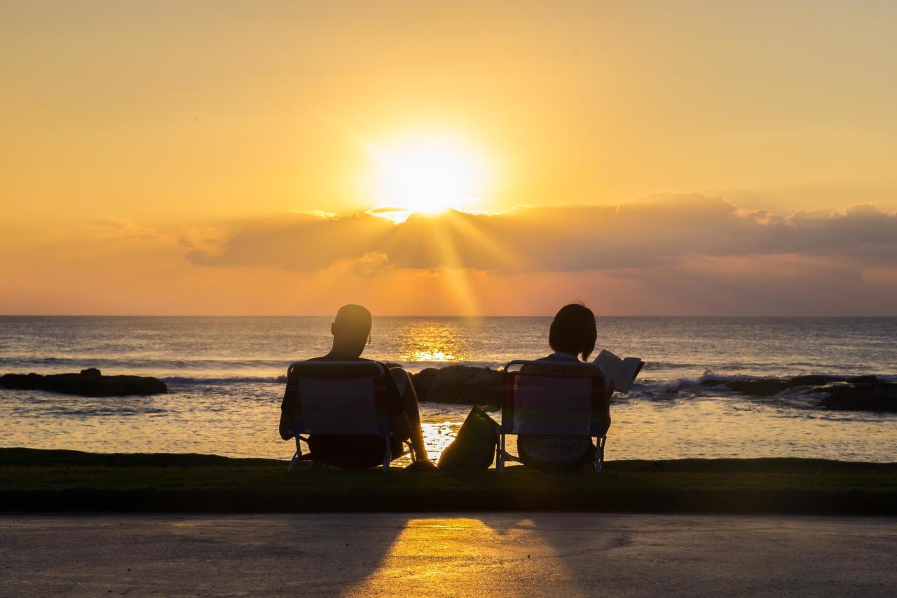 Coconut Plantation 1174-2 - thumb 13