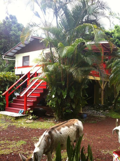 Enchanted Gardens - thumb 0