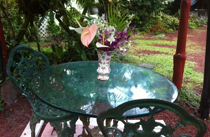 Enchanted Gardens - thumb 12