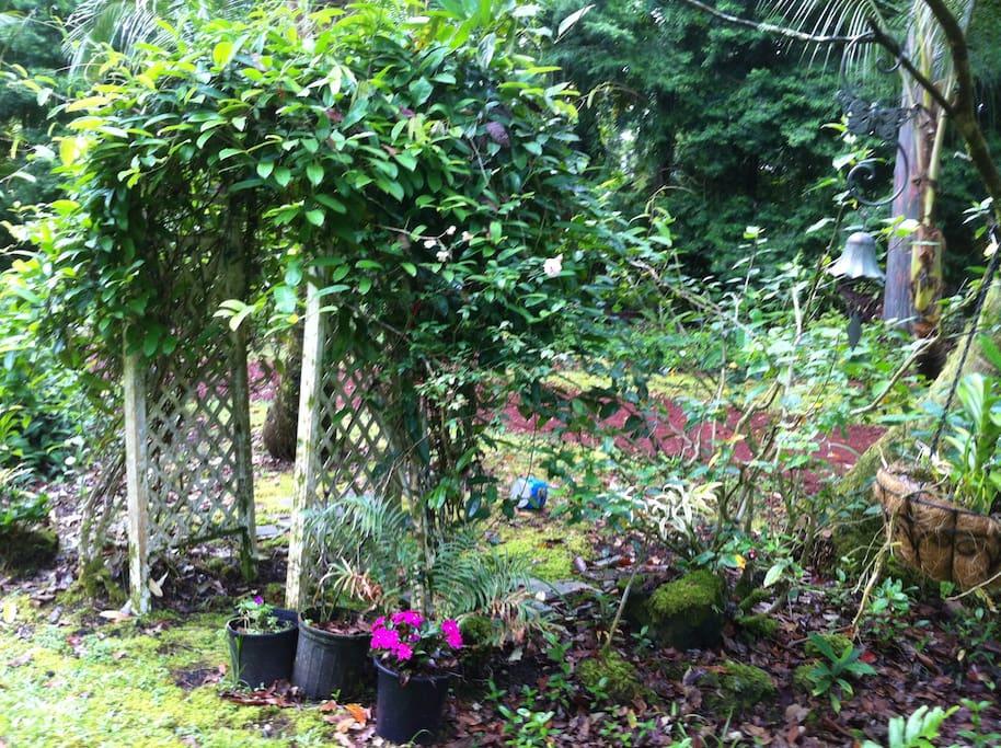 Enchanted Gardens - thumb 13