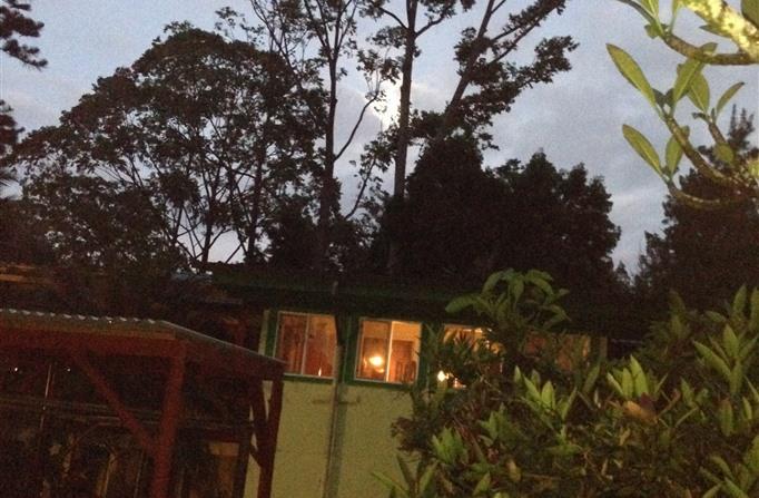 Enchanted Gardens - thumb 9