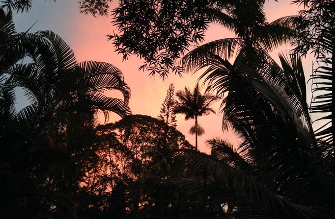 Enchanted Gardens - thumb 6