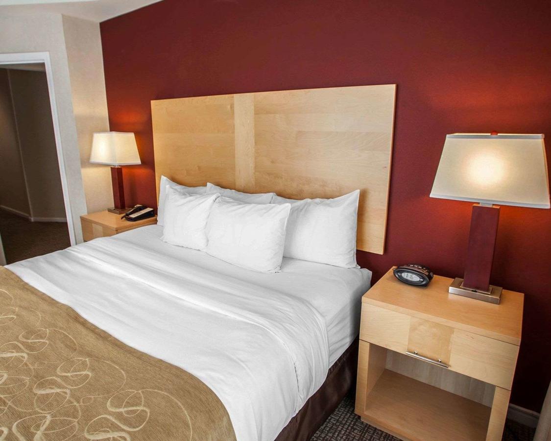 Comfort Suites Michigan Avenue - thumb 38