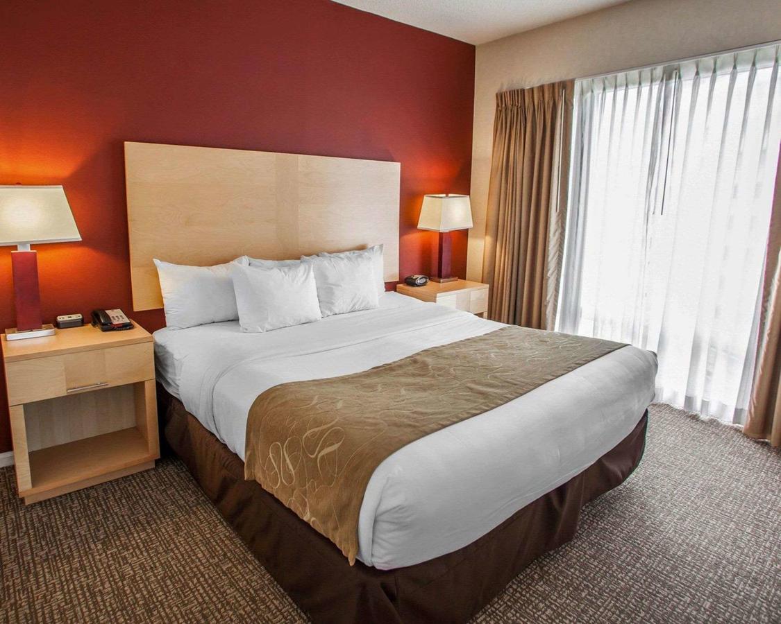 Comfort Suites Michigan Avenue - thumb 32