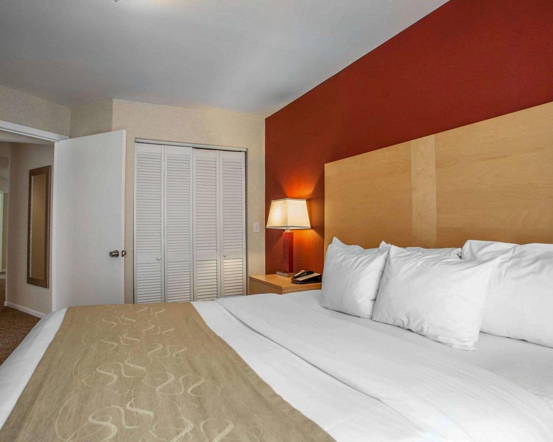 Comfort Suites Michigan Avenue - thumb 31