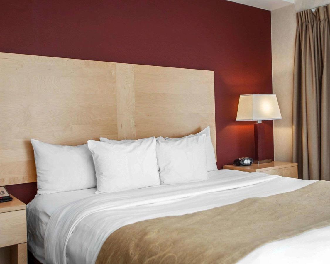 Comfort Suites Michigan Avenue - thumb 17