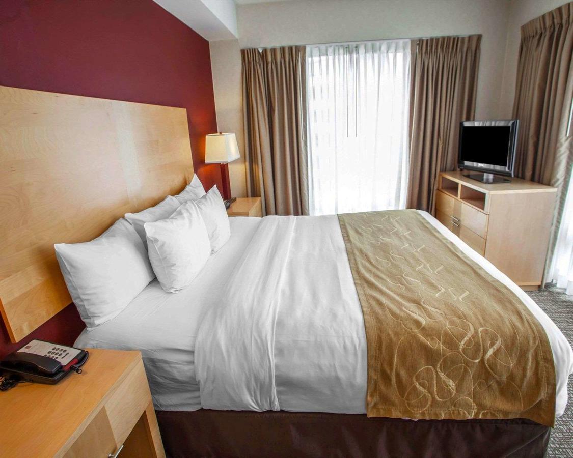 Comfort Suites Michigan Avenue - thumb 10