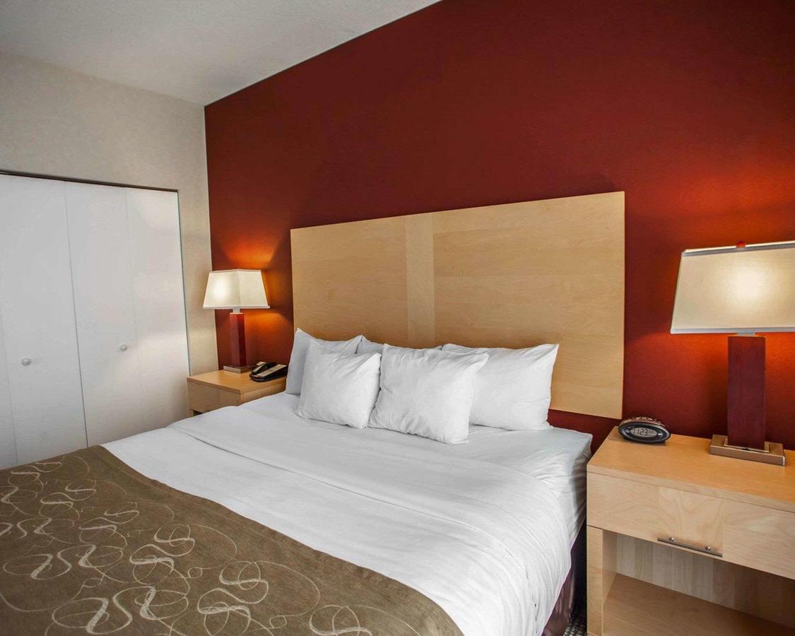 Comfort Suites Michigan Avenue - thumb 1