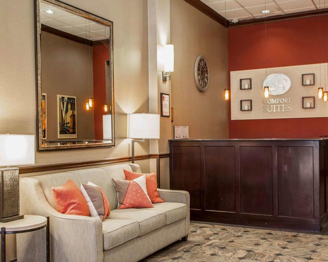 Comfort Suites Michigan Avenue - thumb 0