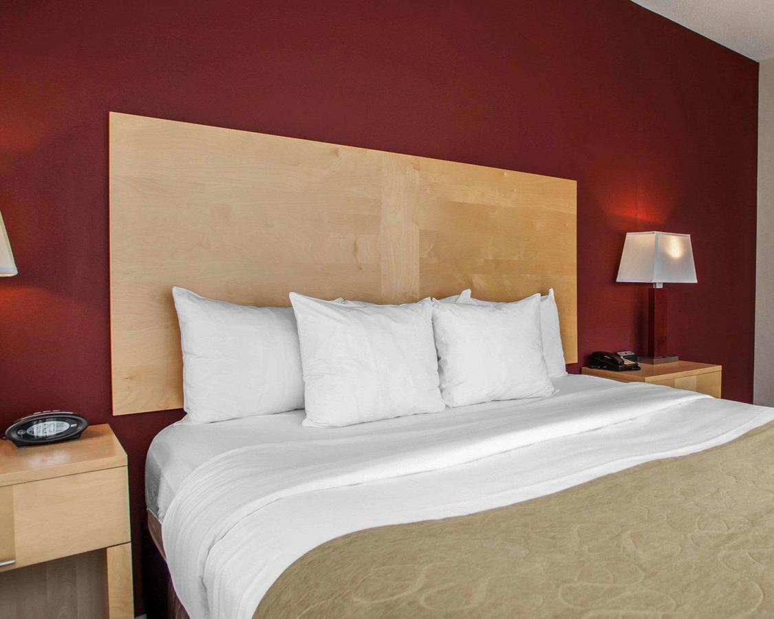 Comfort Suites Michigan Avenue - thumb 8