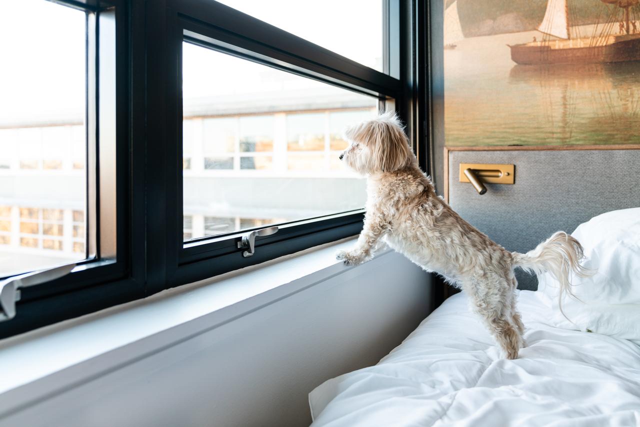 The Revolution Hotel - thumb 29