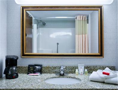 Ramada By Wyndham Lansing Hotel & Conference Center - thumb 17