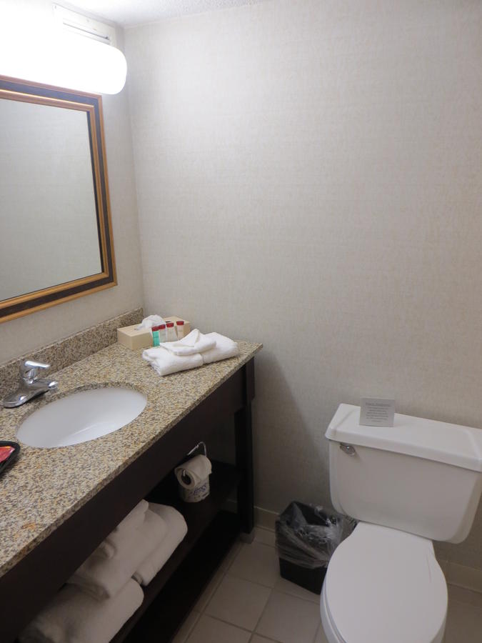 Ramada By Wyndham Lansing Hotel & Conference Center - thumb 13