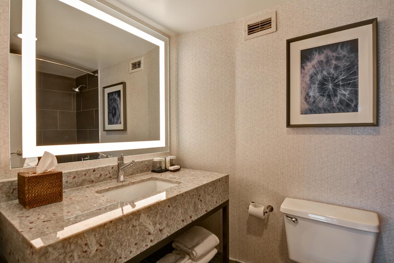 Embassy Suites Minneapolis - Airport - thumb 13