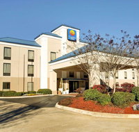 Comfort Inn Pearl - Accommodation Seattle