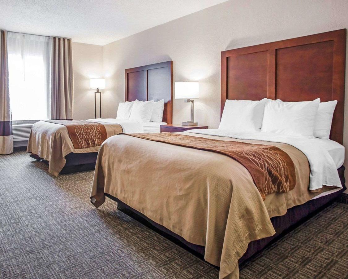 Comfort Inn St Louis â€“ Westport - thumb 33