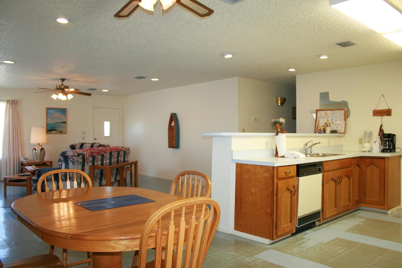 DC613-Dolphin Circle - thumb 17