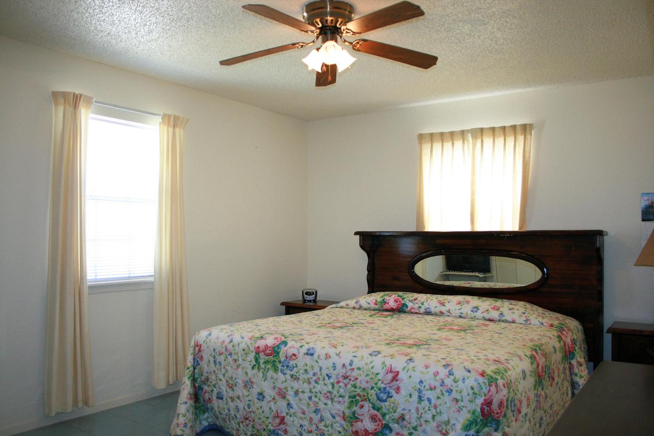 DC613-Dolphin Circle - thumb 4