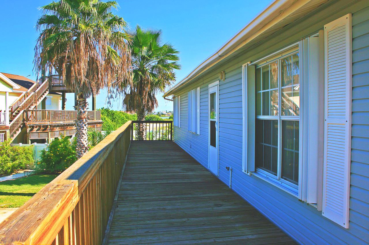 DC613-Dolphin Circle - thumb 14