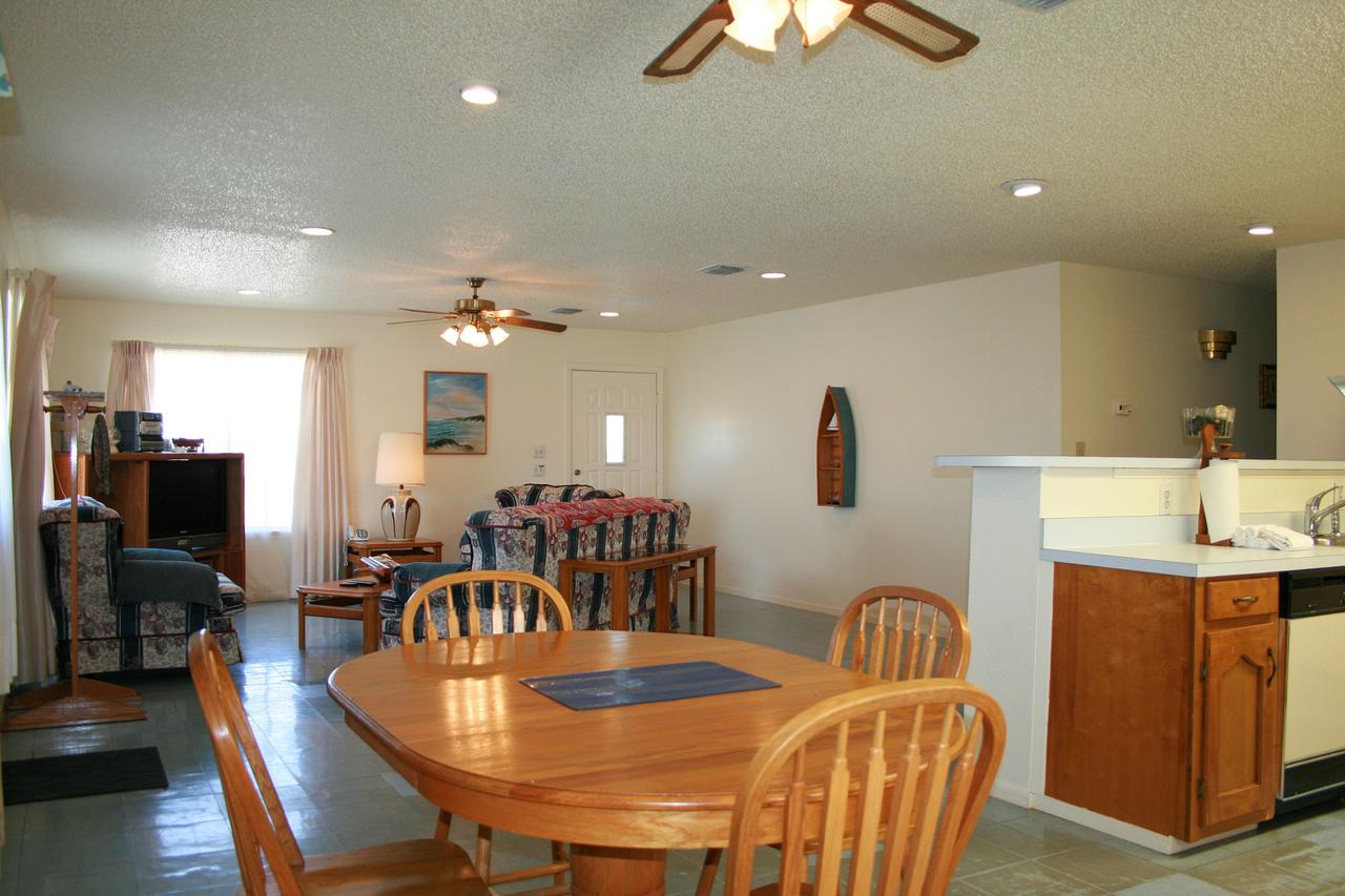 DC613-Dolphin Circle - thumb 2