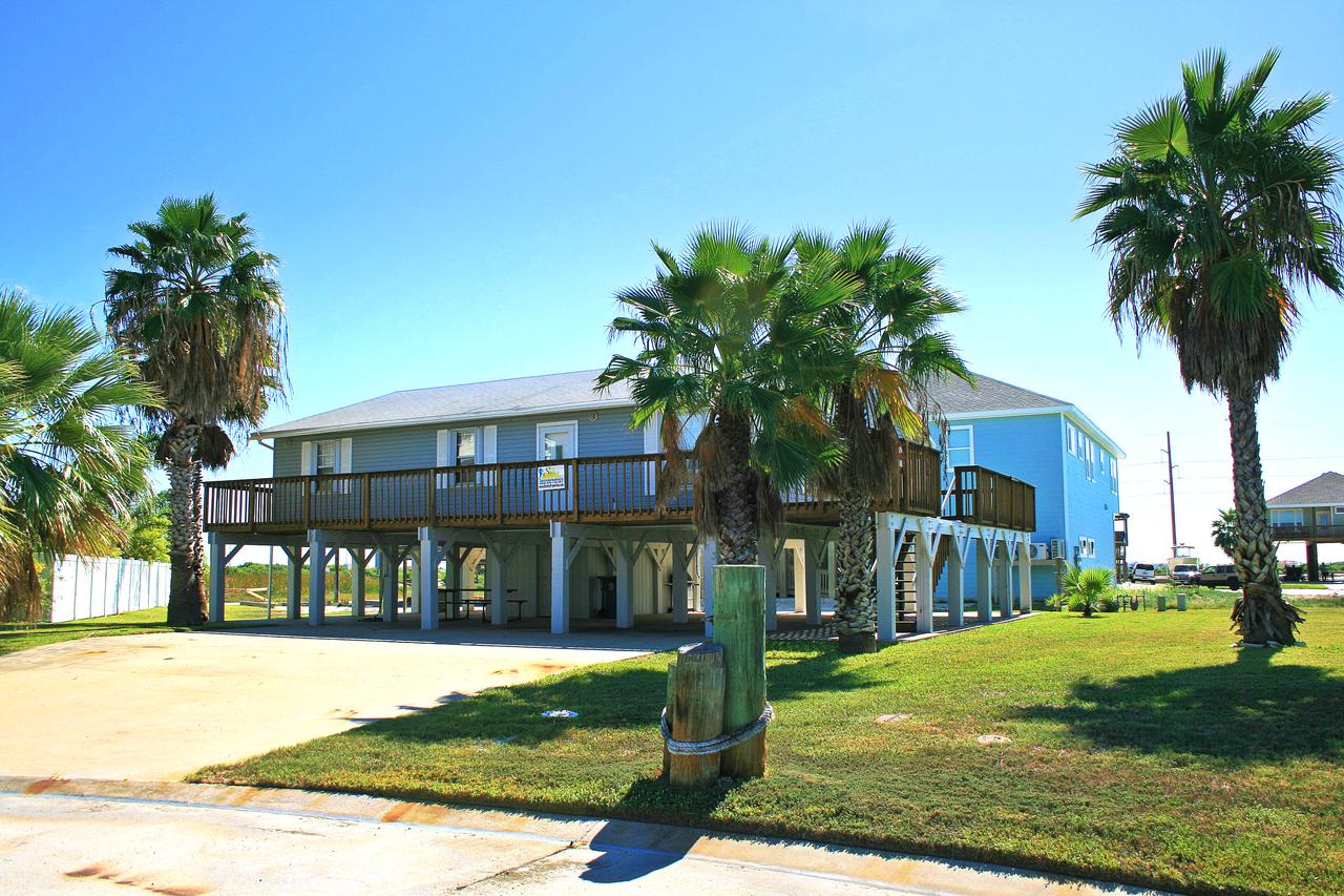 DC613-Dolphin Circle - thumb 13