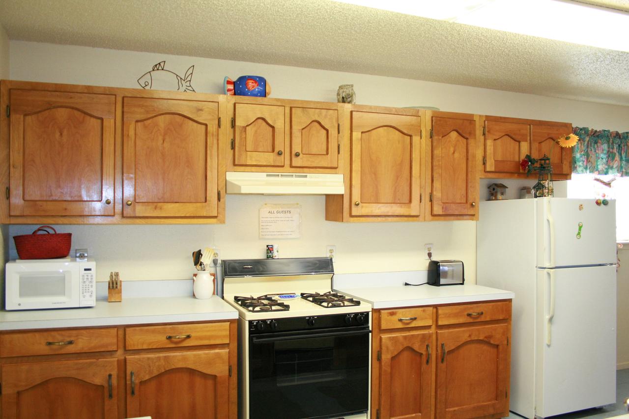 DC613-Dolphin Circle - thumb 1