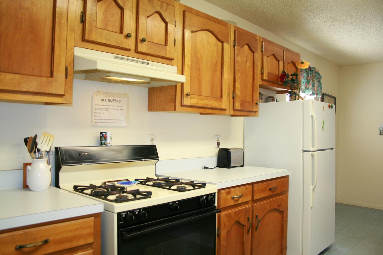 DC613-Dolphin Circle - thumb 6