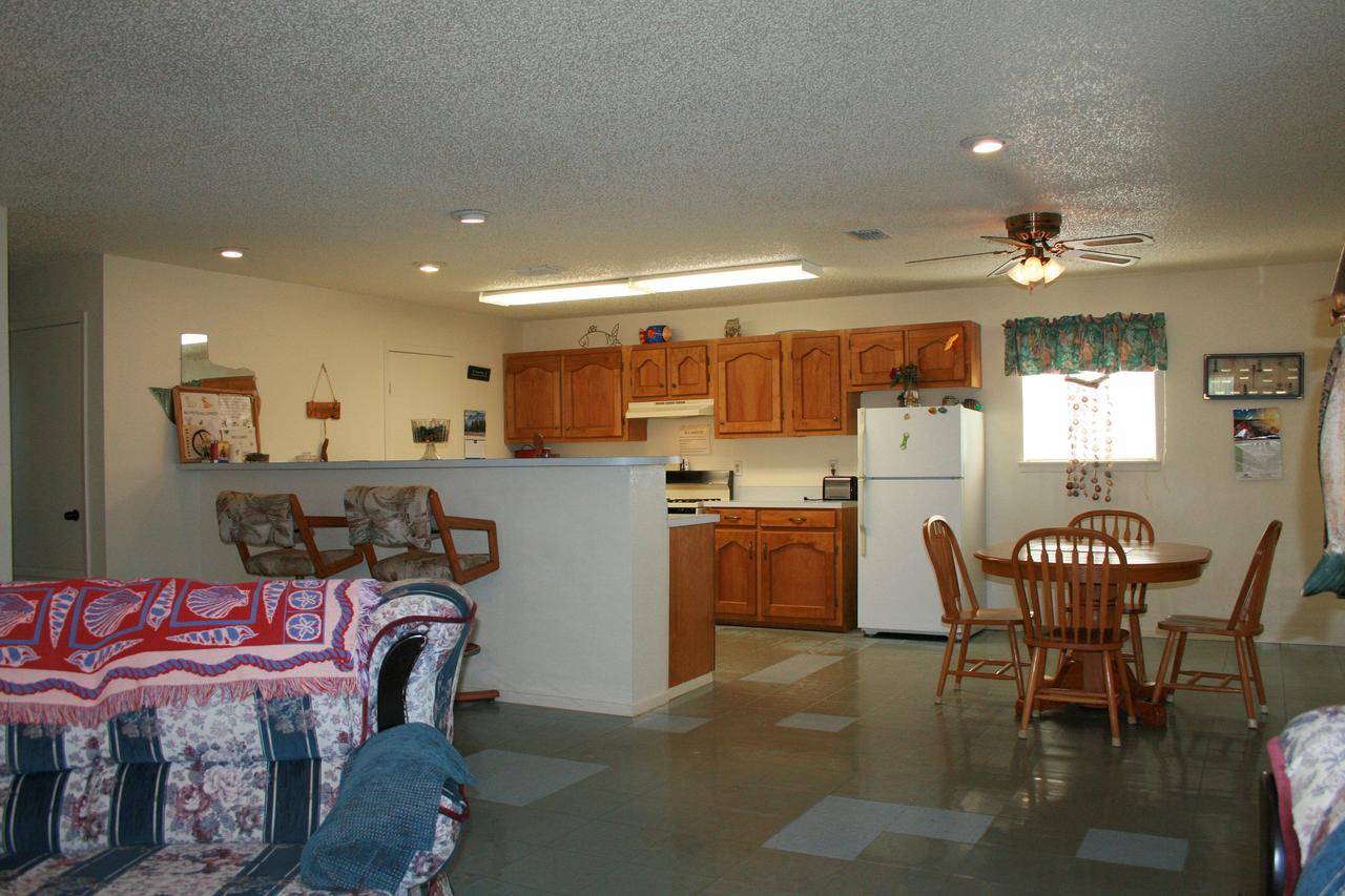 DC613-Dolphin Circle - thumb 15