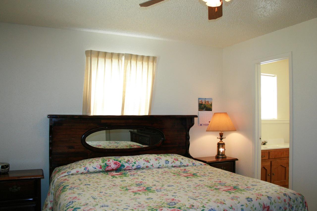 DC613-Dolphin Circle - thumb 26