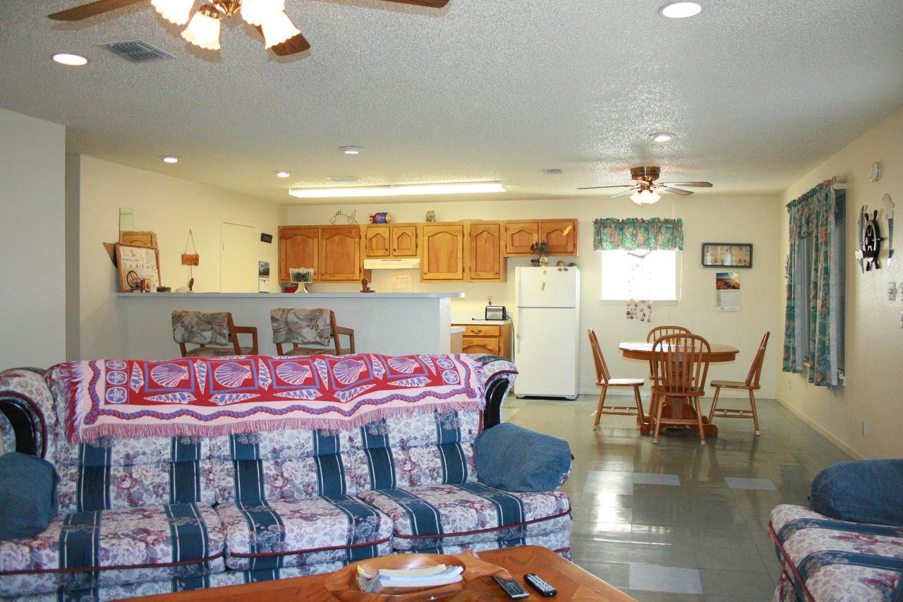 DC613-Dolphin Circle - thumb 3