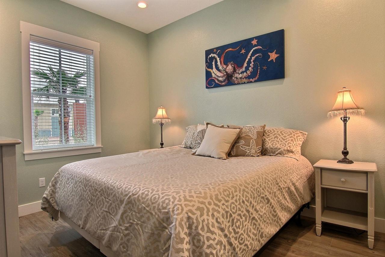 Cinnamon Shore- Shells On The Beach TC 2104 - thumb 16