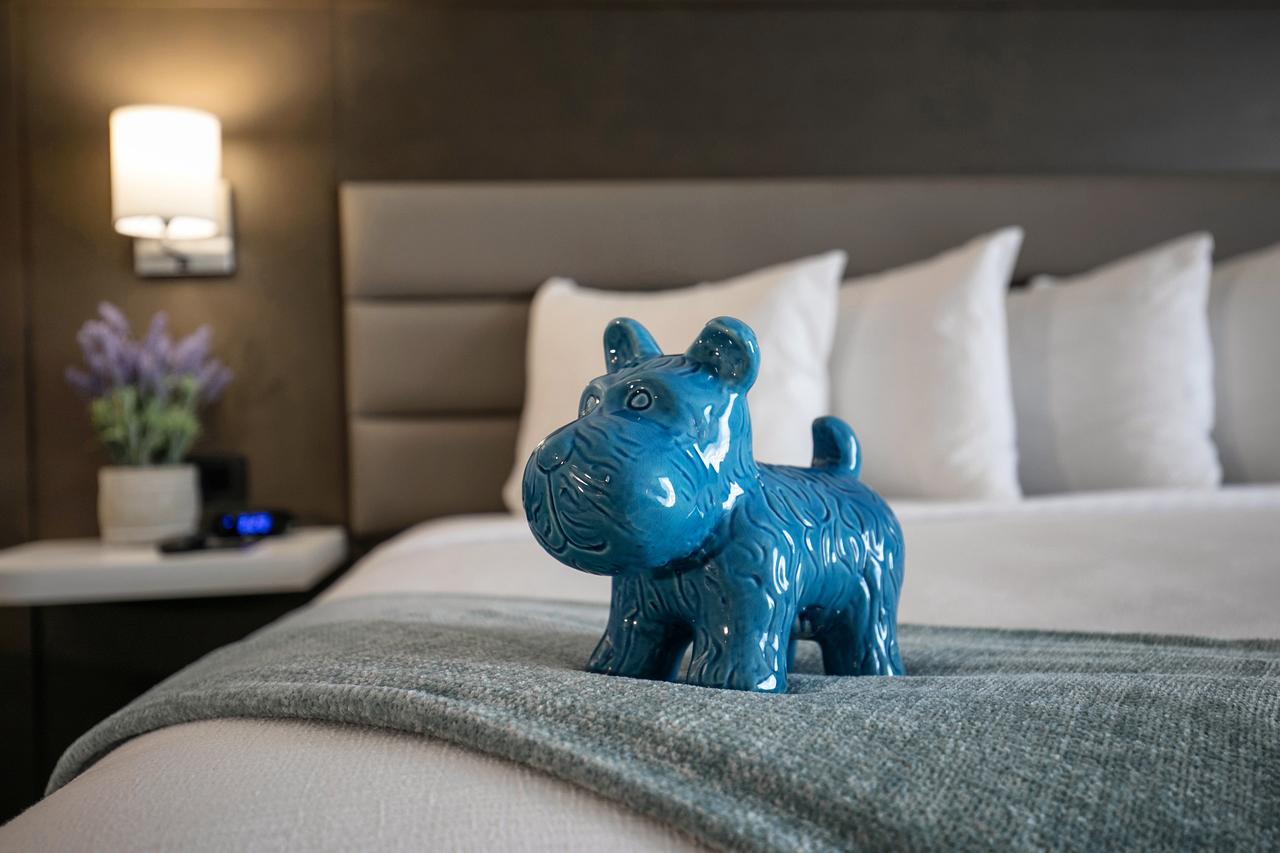 Best Western Plus Sparks-Reno Hotel - thumb 31